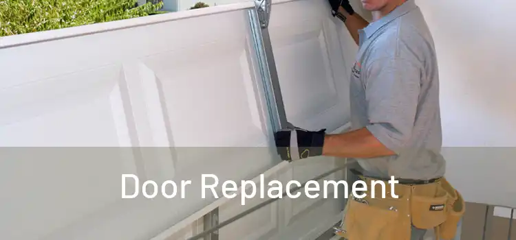 Door Replacement 